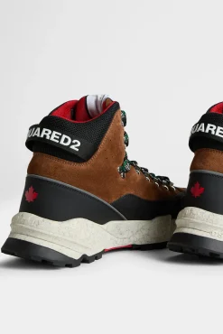 Free Sneakers