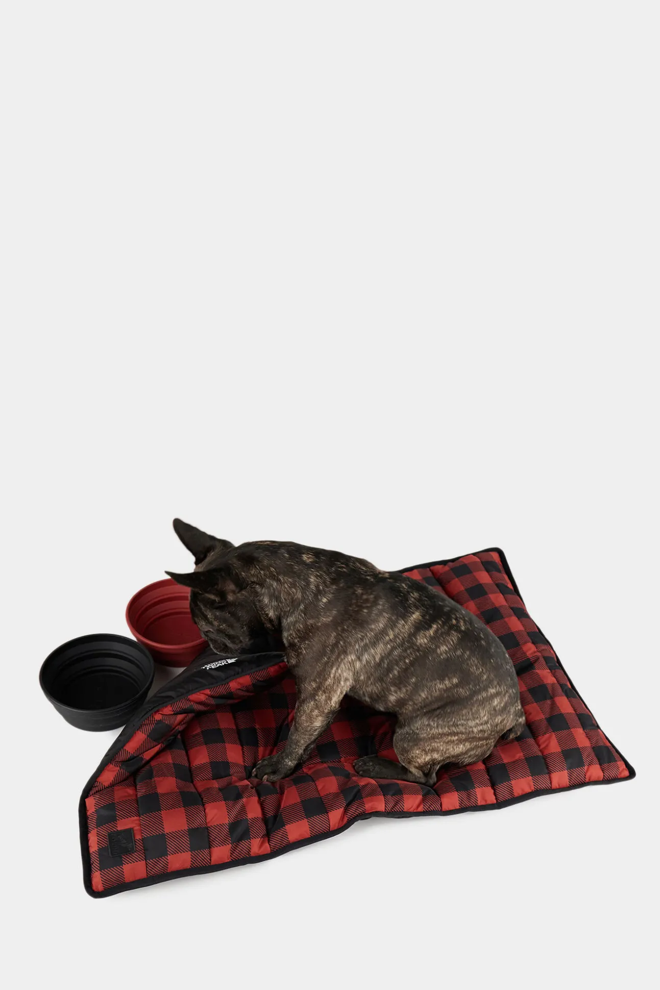 Poldo X D2 Montreal Collapsible Bowl